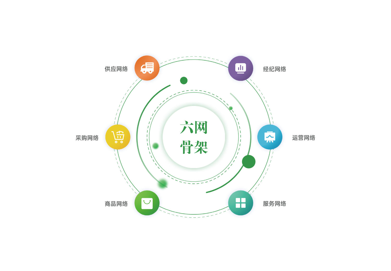 六网骨架图解